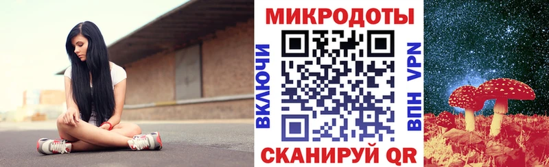 MEGA ONION  хочу   Чебоксары  Псилоцибиновые грибы Psilocybe 
