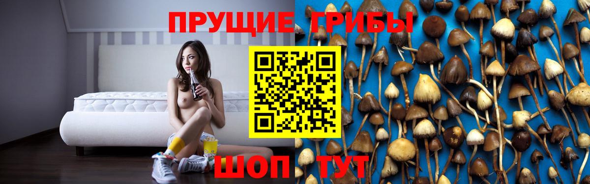 Чебоксары  Галлюциногенные грибы Magic Shrooms  где найти   Вход с VPN  Галлюциногенные грибы GOLDEN TEACHER 